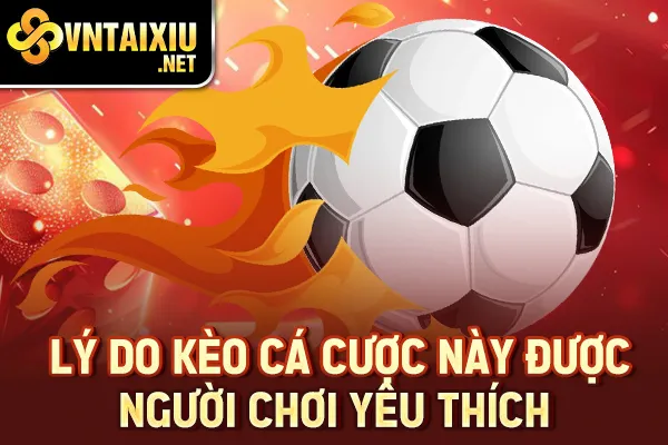 Lý do kèo cá cược này được người chơi yêu thích